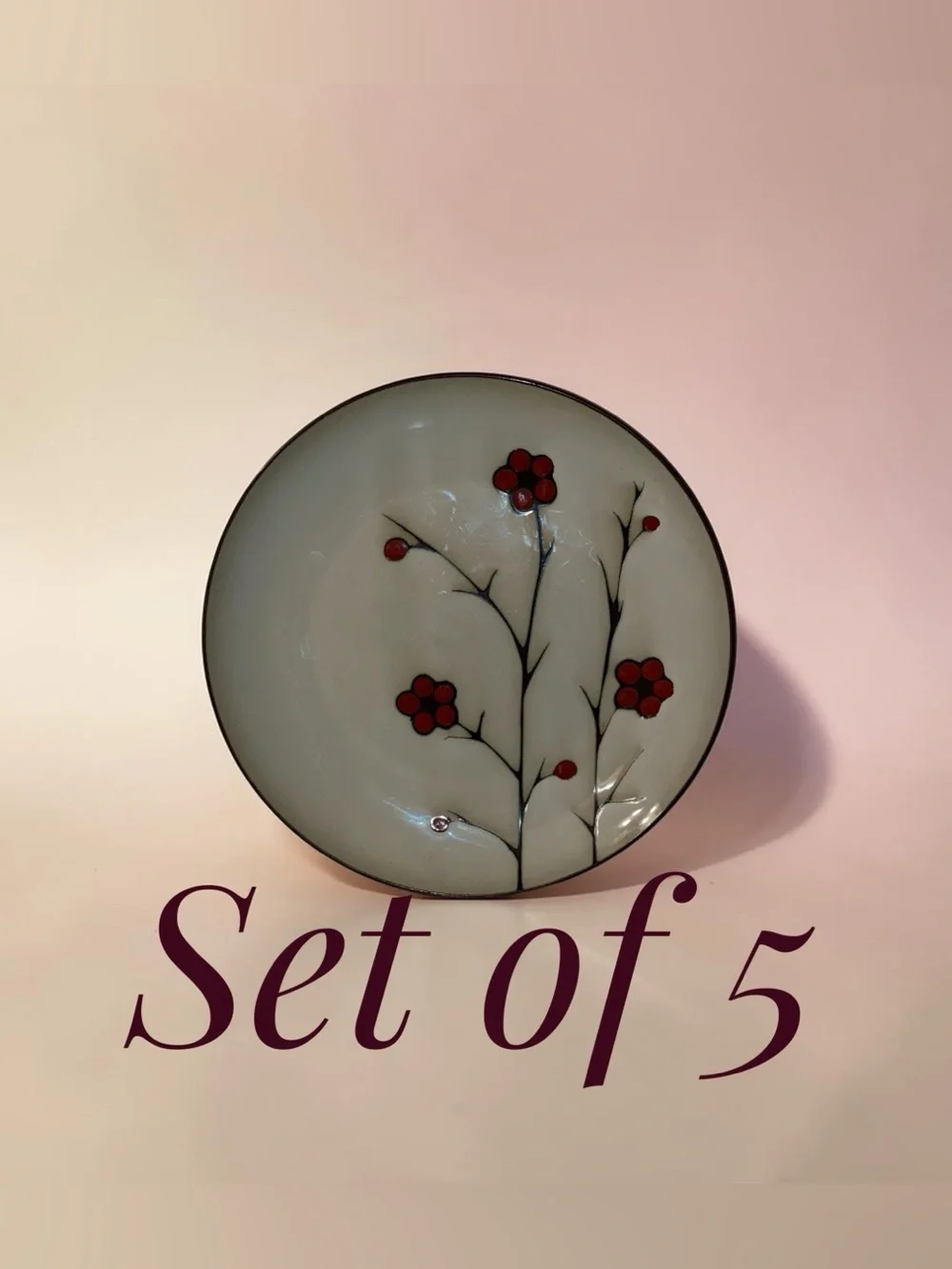 JESSICA MCCLINTOCK PFALTZGRAFF STUDIO Aster Red Flower Dinner Plates Set of 5